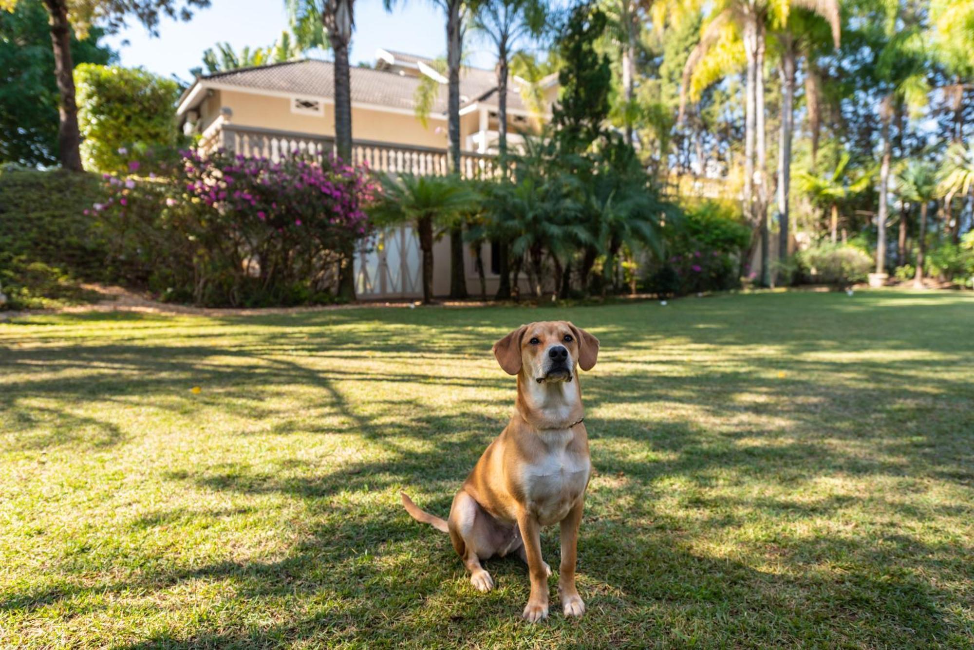 Fazenda Vila Real - Grande E Charmosa Casa De Campo Itu Esterno foto