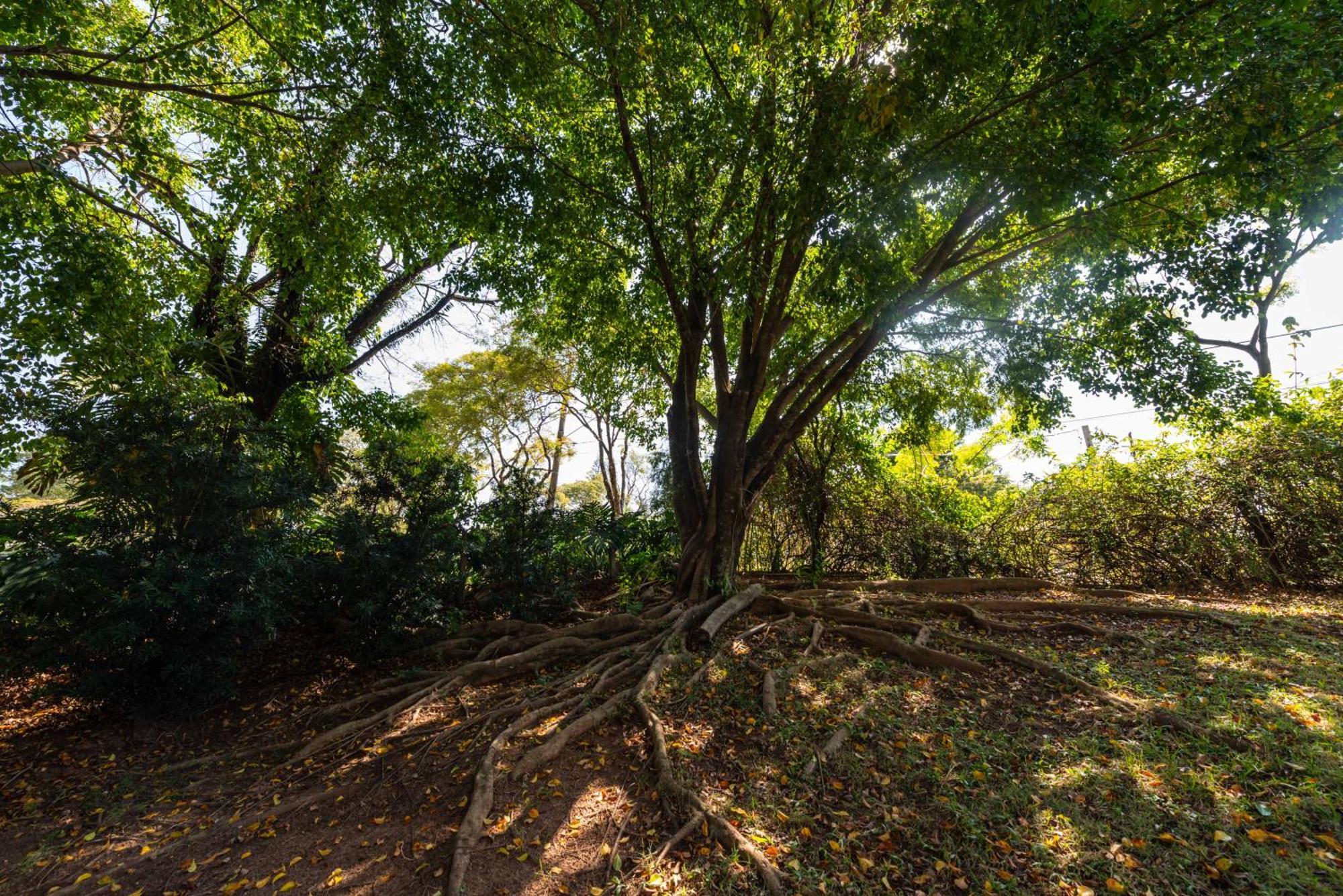Fazenda Vila Real - Grande E Charmosa Casa De Campo Itu Esterno foto
